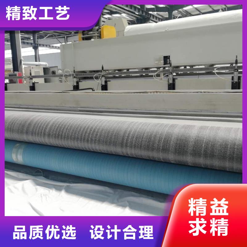 膨润土防水毯钢塑土工格栅当地厂家值得信赖