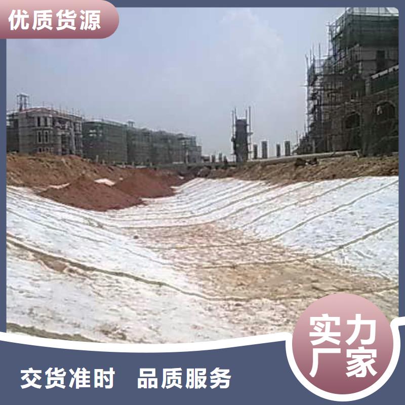 膨润土防水毯涤纶土工格栅工厂认证