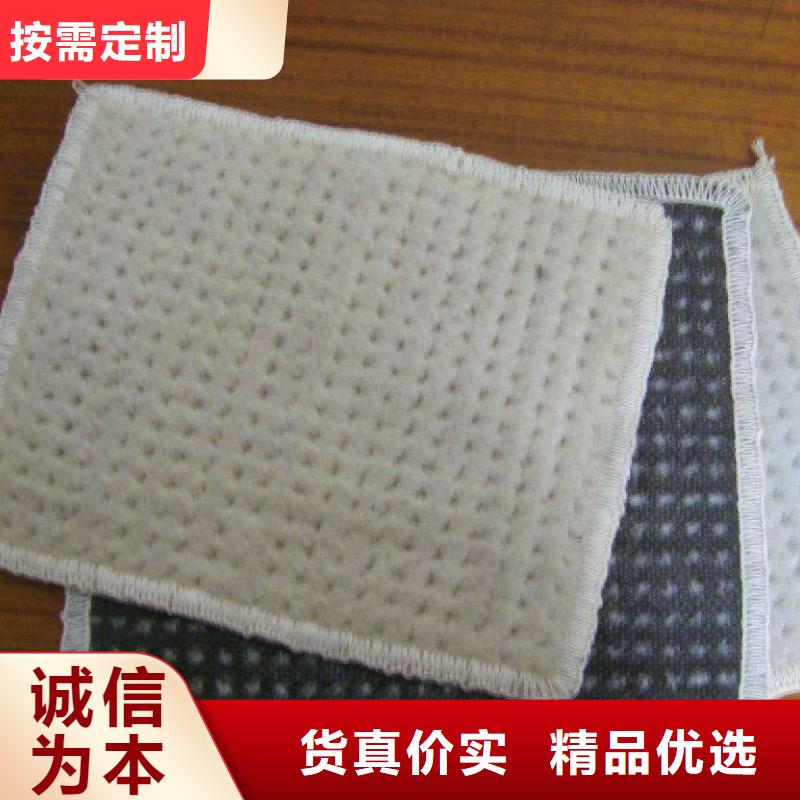 膨润土防水毯【塑料土工格栅】保质保量同城经销商