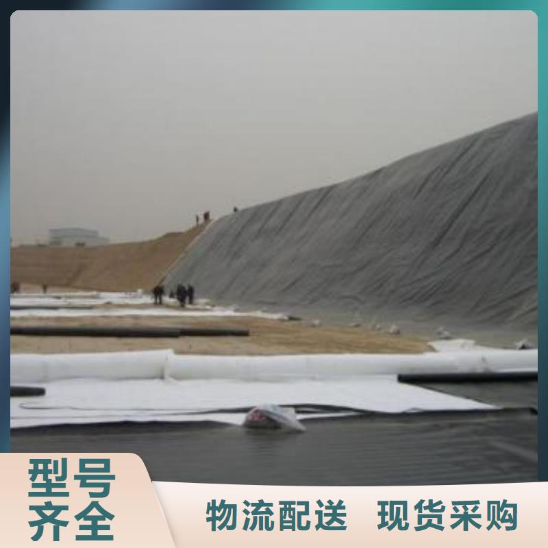 柱点糙面土工膜实力厂家/现货供应