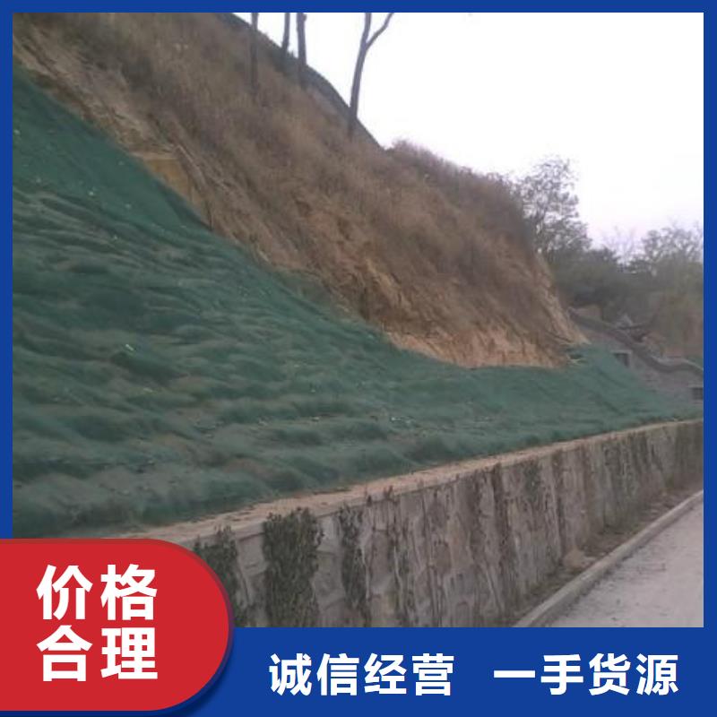 三维植被网工程布货品齐全