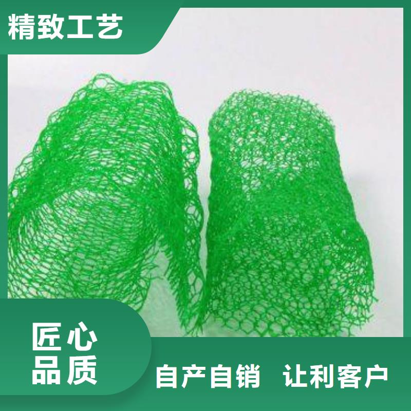三维植被网涤纶土工格栅专业生产N年