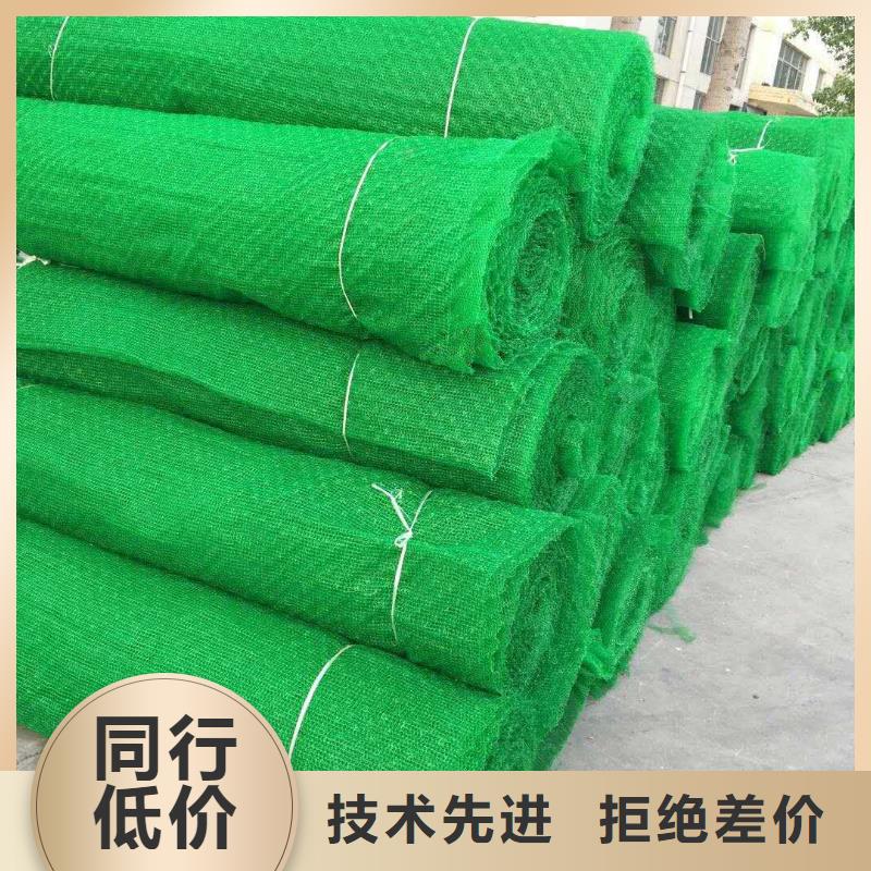 三维植被网双向塑料土工格栅专业完善售后