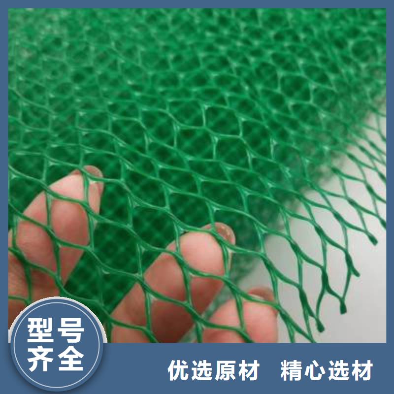 三维植被网涤纶土工格栅专业生产N年