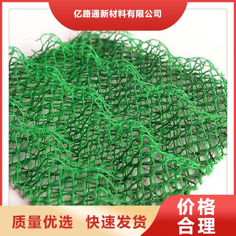 2025耐用三维植被网实力厂家/现货供应