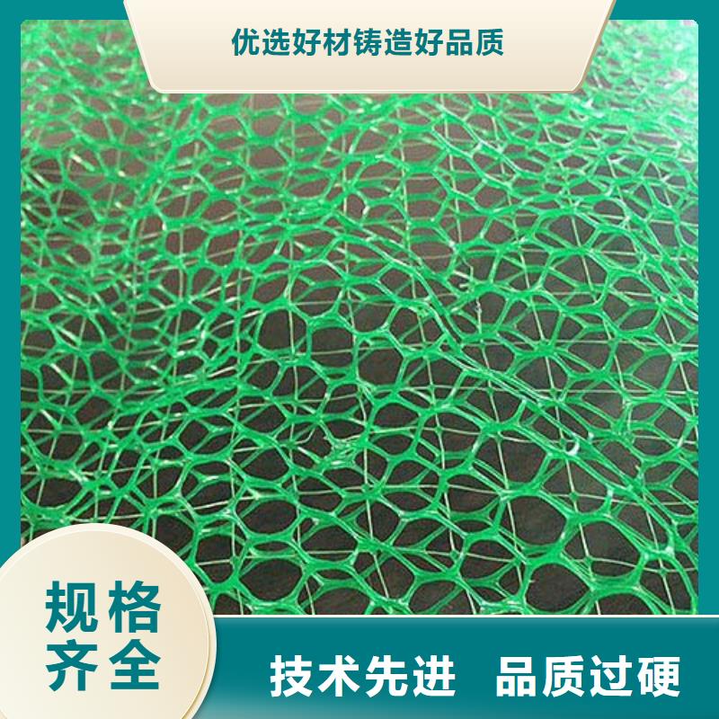 三维植被网_土工格栅库存量大
