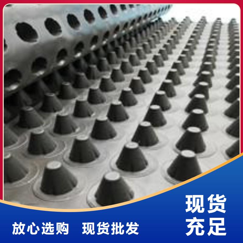 塑料排水板双向塑料土工格栅厂家直营