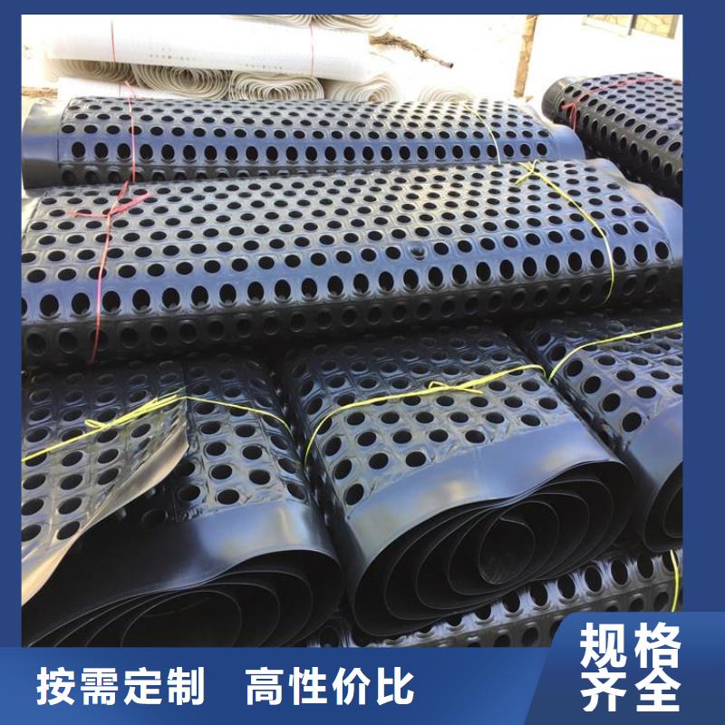 安乡|津|永州|岳阳|郴州|怀化【 塑料排水板钢塑土工格栅源头工厂量大优惠】厂家