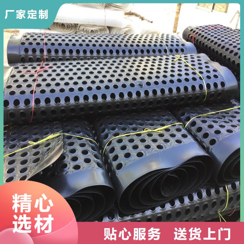 塑料排水板 【钢塑土工格栅】今年新款亿路通膨润土防水毯
