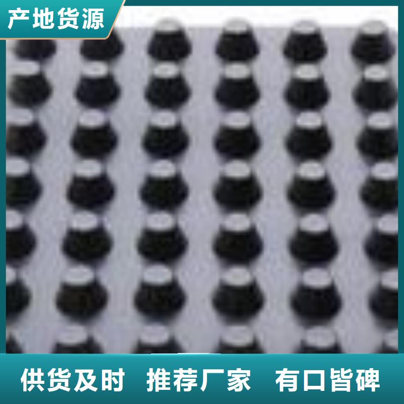 塑料排水板土工席垫当地厂家值得信赖