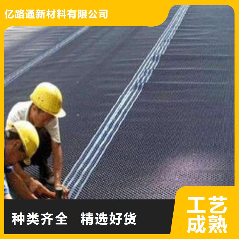 塑料排水板双向塑料土工格栅厂家直营