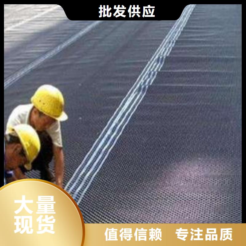 安乡|津|永州|岳阳|郴州|怀化【 塑料排水板钢塑土工格栅源头工厂量大优惠】厂家