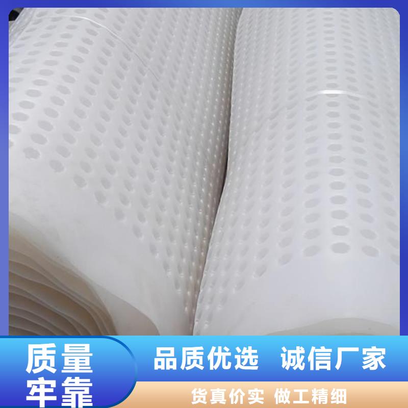 安乡|津|永州|岳阳|郴州|怀化【 塑料排水板钢塑土工格栅源头工厂量大优惠】厂家