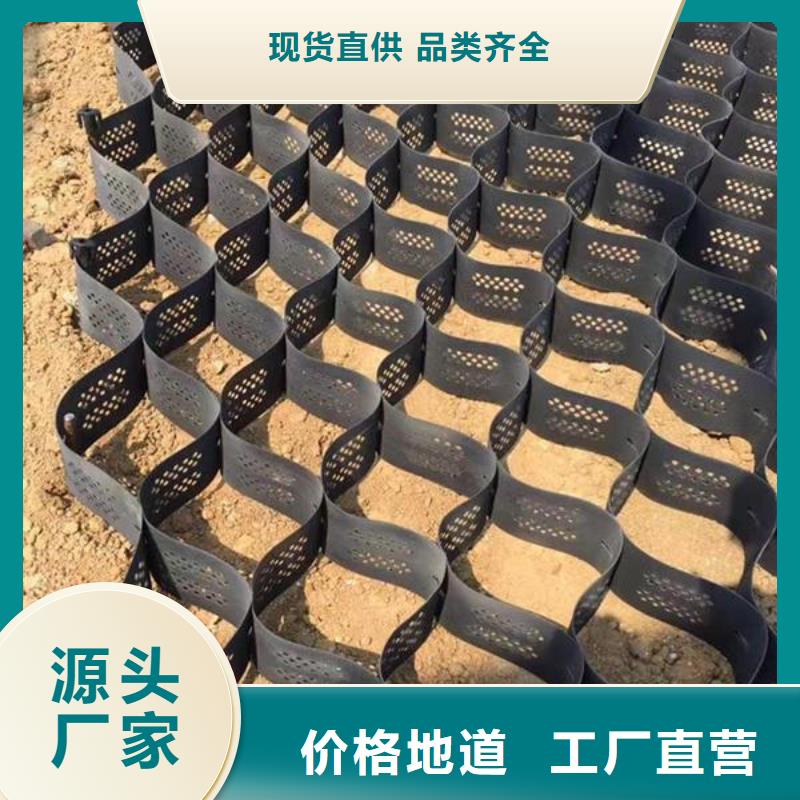 土工格室护坡土工网以质量求生存