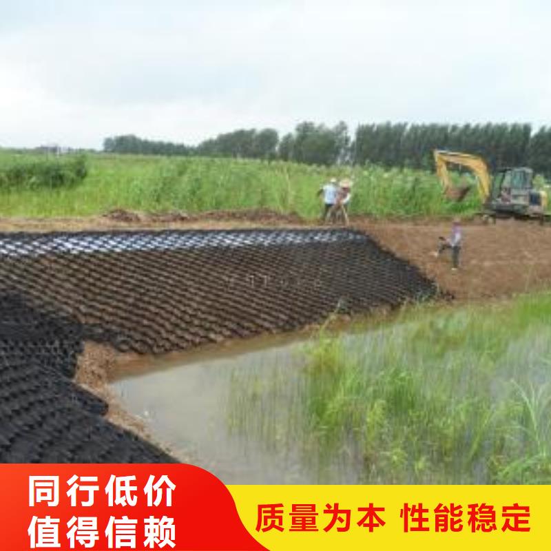 土工格室【三维土工网垫】当地厂家值得信赖