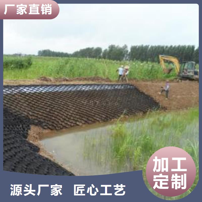 土工格室钢塑土工格栅多年行业积累