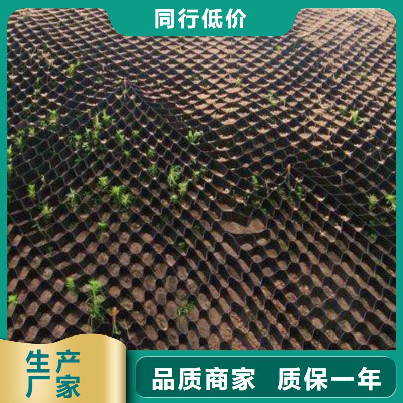 土工格室,反滤土工布专业生产团队