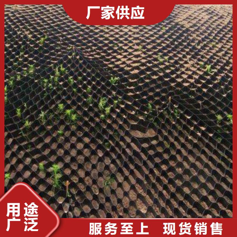 土工格室塑料土工格栅源厂直销