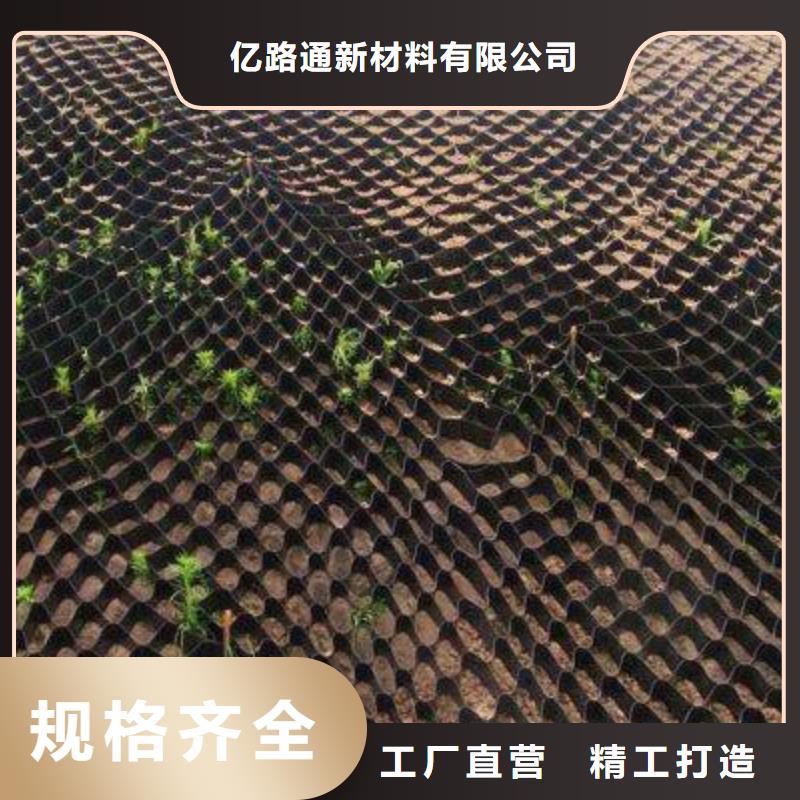 土工格室【三维土工网垫】当地厂家值得信赖