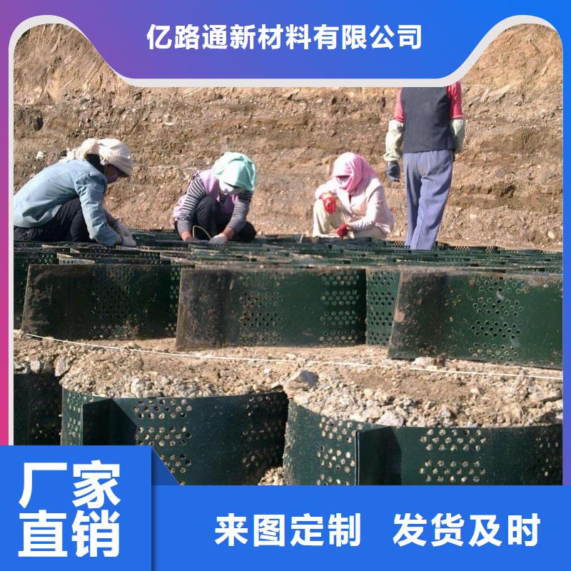 土工格室玻纤土工格栅高品质现货销售