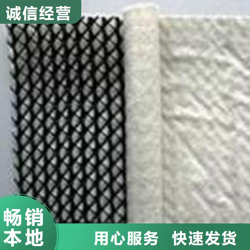【三维复合排水网】,钢塑土工格栅产地货源