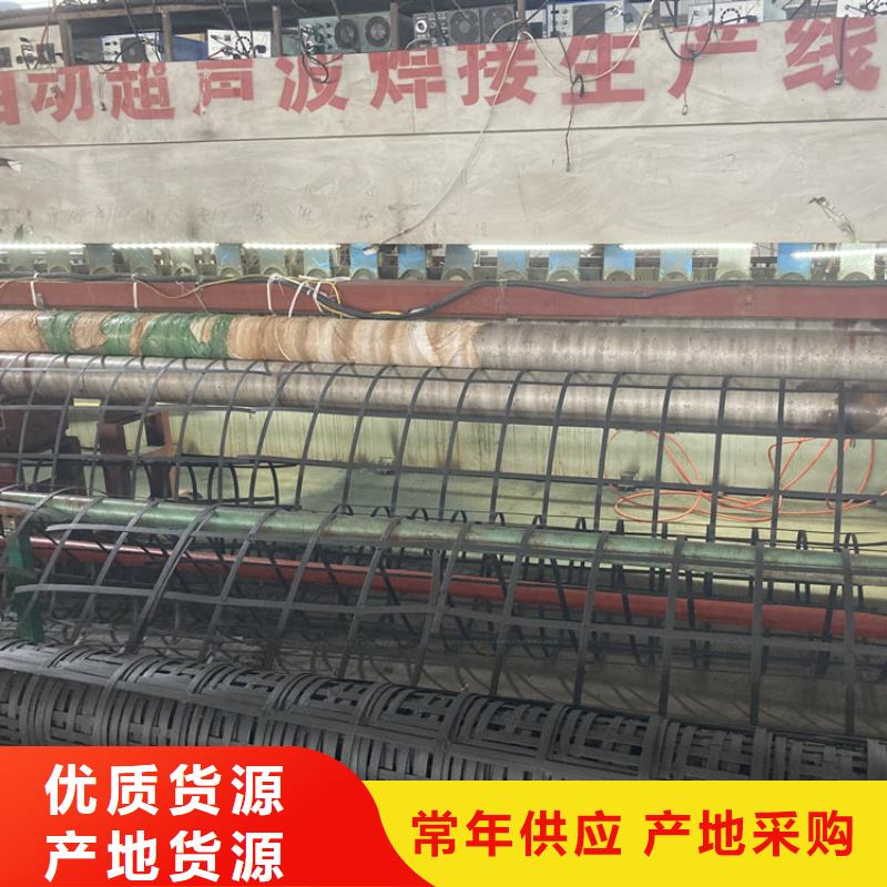 钢塑土工格栅护坡土工网一手货源源头厂家