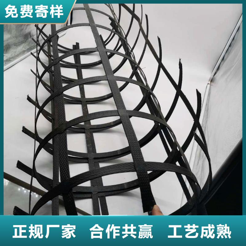 【 钢塑土工格栅_pp焊接土工格栅值得买】中齐膨润土防水垫