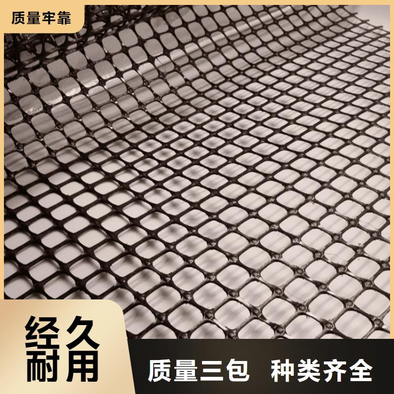 塑料土工格栅三维植被网厂家工艺先进