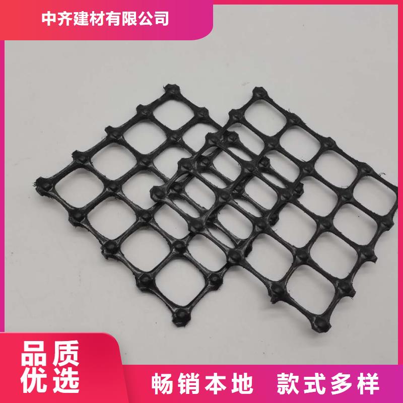 塑料土工格栅三维植被网厂家工艺先进