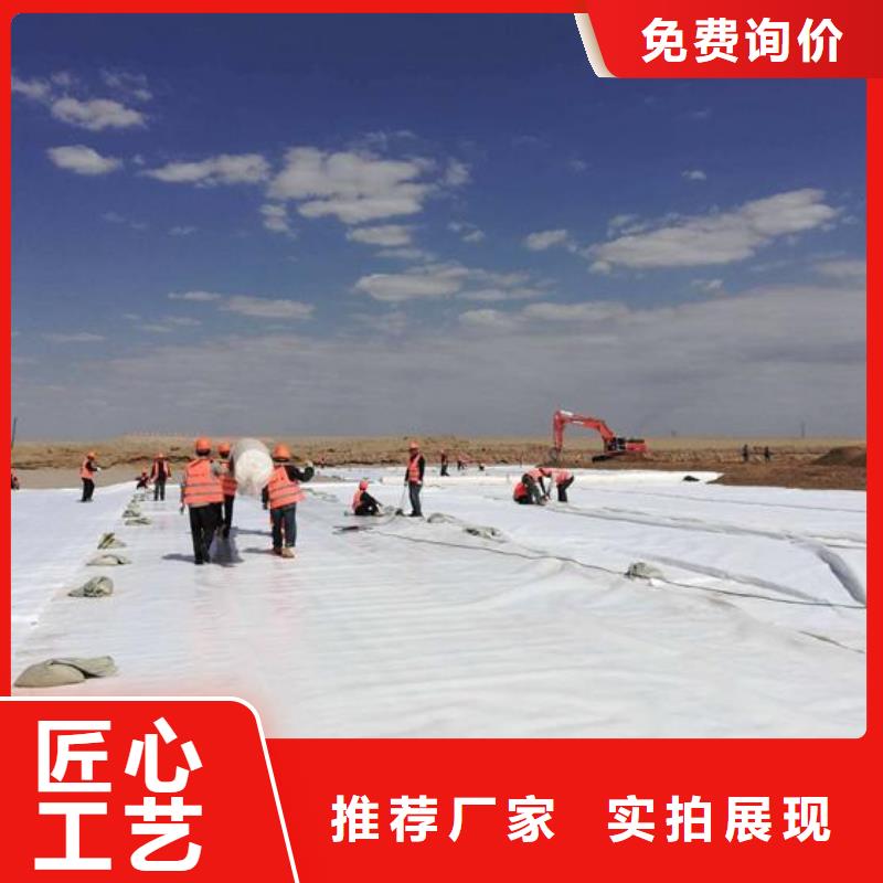 土工布膨润土防水毯打造行业品质