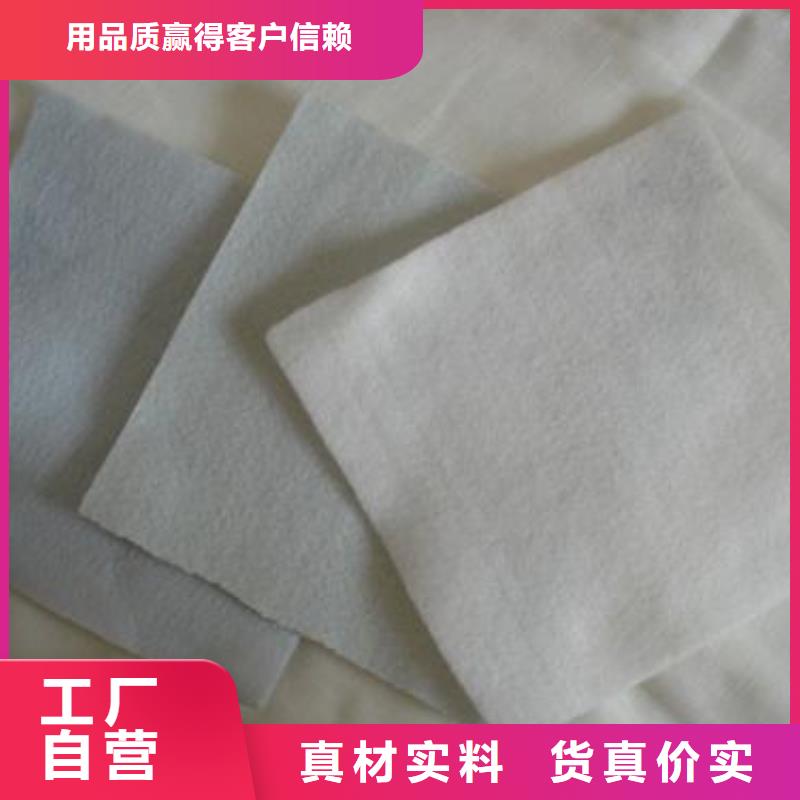 土工布双向塑料土工格栅不只是质量好