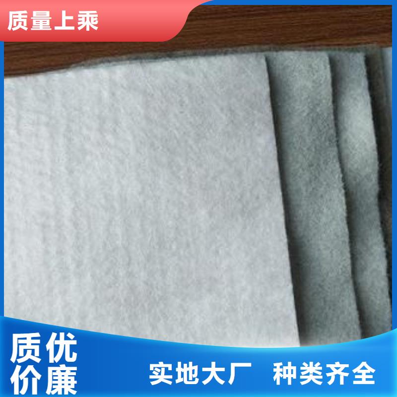 土工布pp焊接土工格栅自主研发