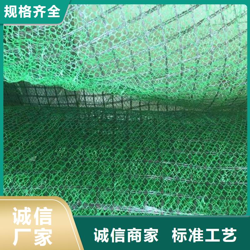三维植被网,HDPE土工膜高性价比