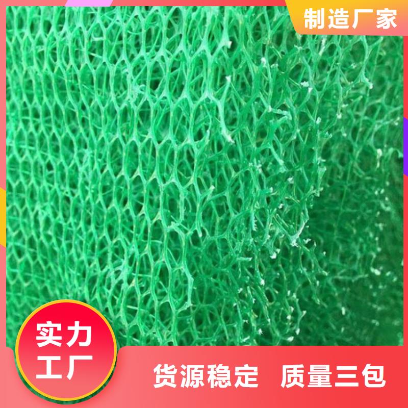 三维植被网,凸结点钢塑土工格栅欢迎来电询价