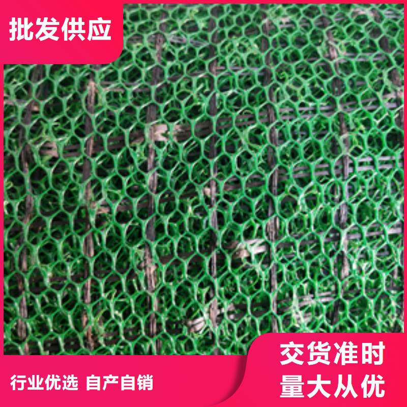 三维植被网双向塑料土工格栅诚信可靠