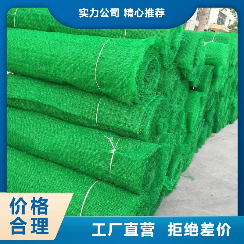 三维植被网三维土工网垫价格公道合理