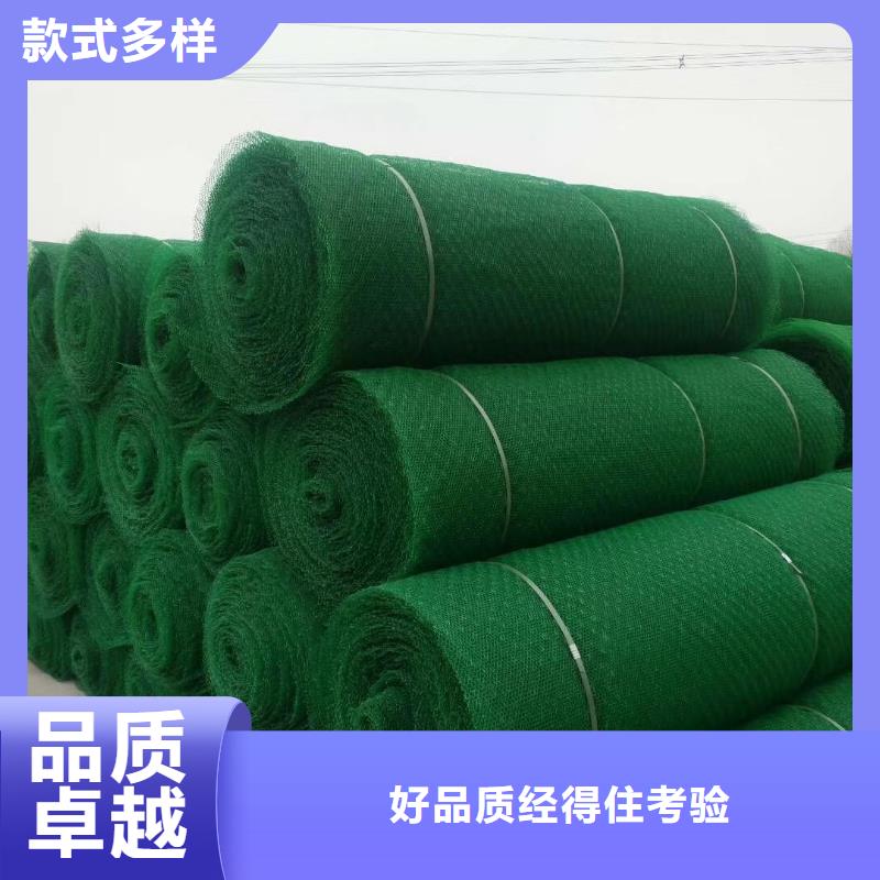 三维植被网双向塑料格栅发货迅速