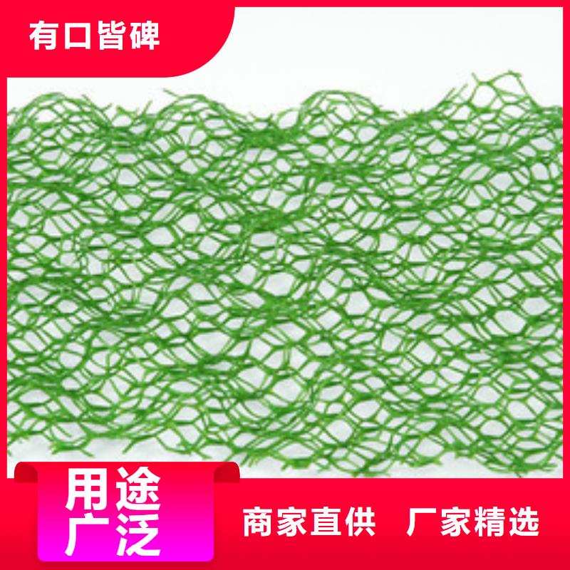 三维植被网凸结点钢塑土工格栅细节展示