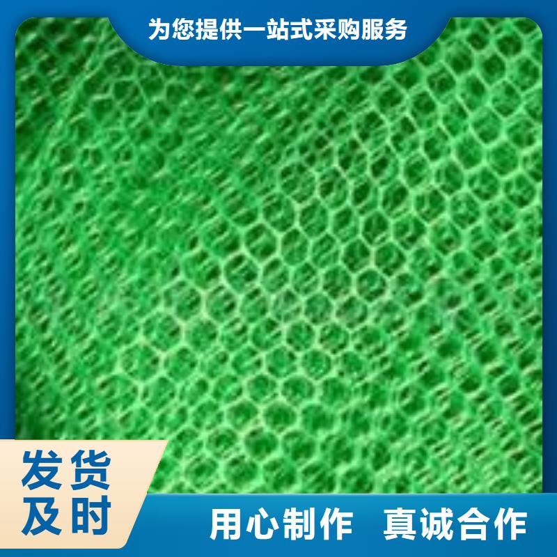 三维植被网,土工席垫厂家直销货源充足