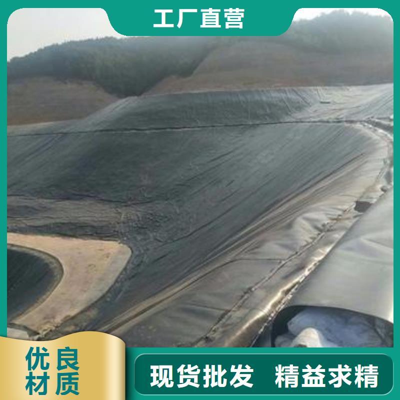 土工膜护坡土工网源厂直接供货