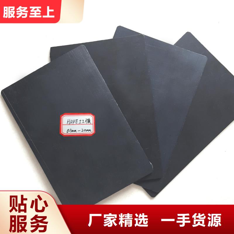 土工膜_pp焊接土工格栅厂家货源稳定