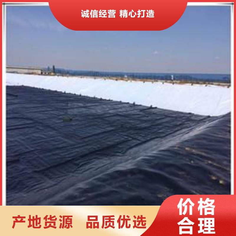 土工膜护坡土工网价格实在