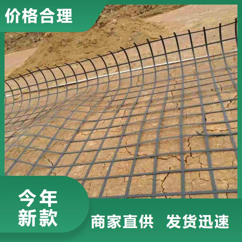 钢塑土工格栅双向拉伸土工格栅厂家直销