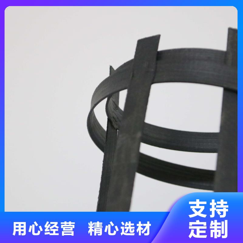 【 钢塑土工格栅双向拉伸土工格栅供应采购】-鼎诺土工材料(周口市分公司)