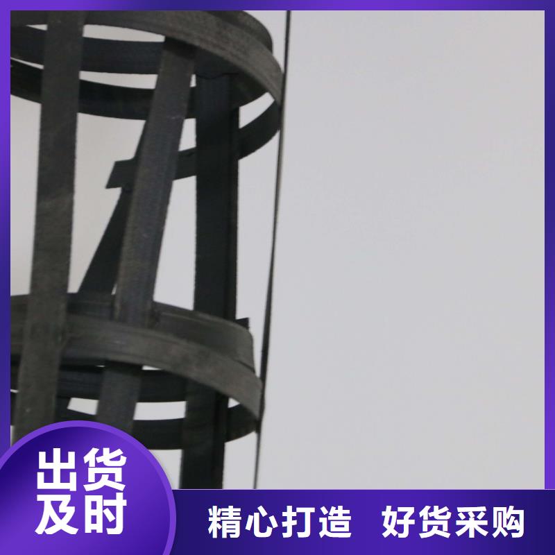 钢塑土工格栅双向拉伸土工格栅厂家直销