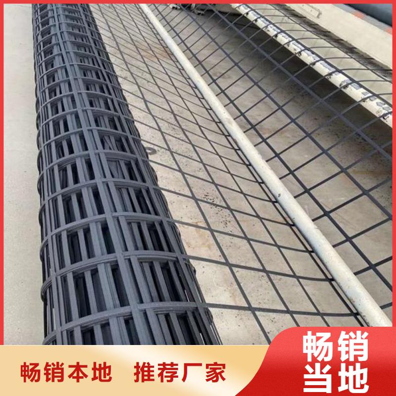 钢塑土工格栅双向拉伸土工格栅厂家直销
