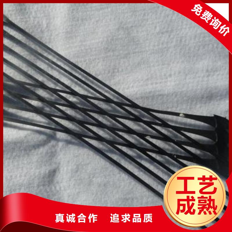 渭源|安定|天水|甘南|武威|白银|兰州|嘉峪关|平凉单向拉伸塑料格栅 【三维复合排水网】真材实料-通金宝