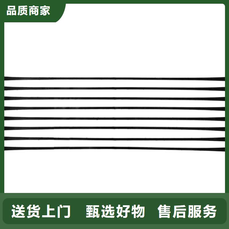 渭源|安定|天水|甘南|武威|白银|兰州|嘉峪关|平凉单向拉伸塑料格栅 【三维复合排水网】真材实料-通金宝
