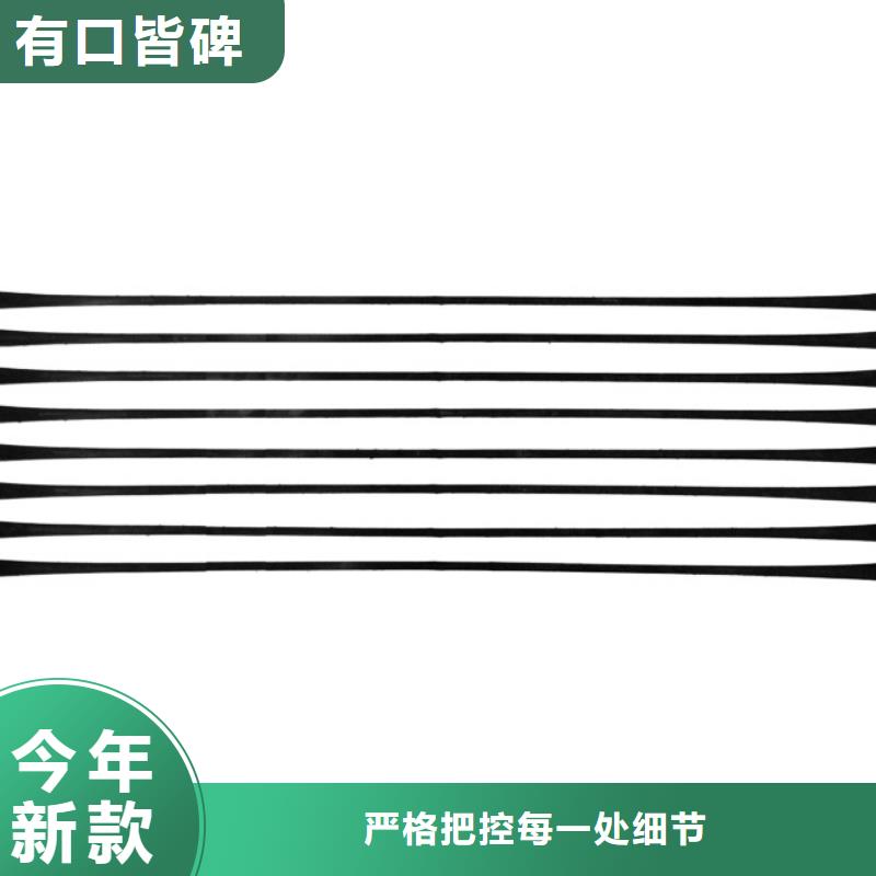 单向拉伸塑料格栅【三维复合排水网】专业生产厂家
