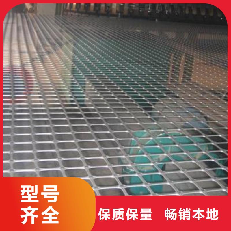 双向塑料土工格栅_三维复合排水网高品质诚信厂家